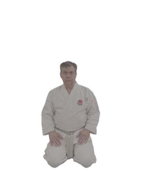 Sensei Daniel Verzotti